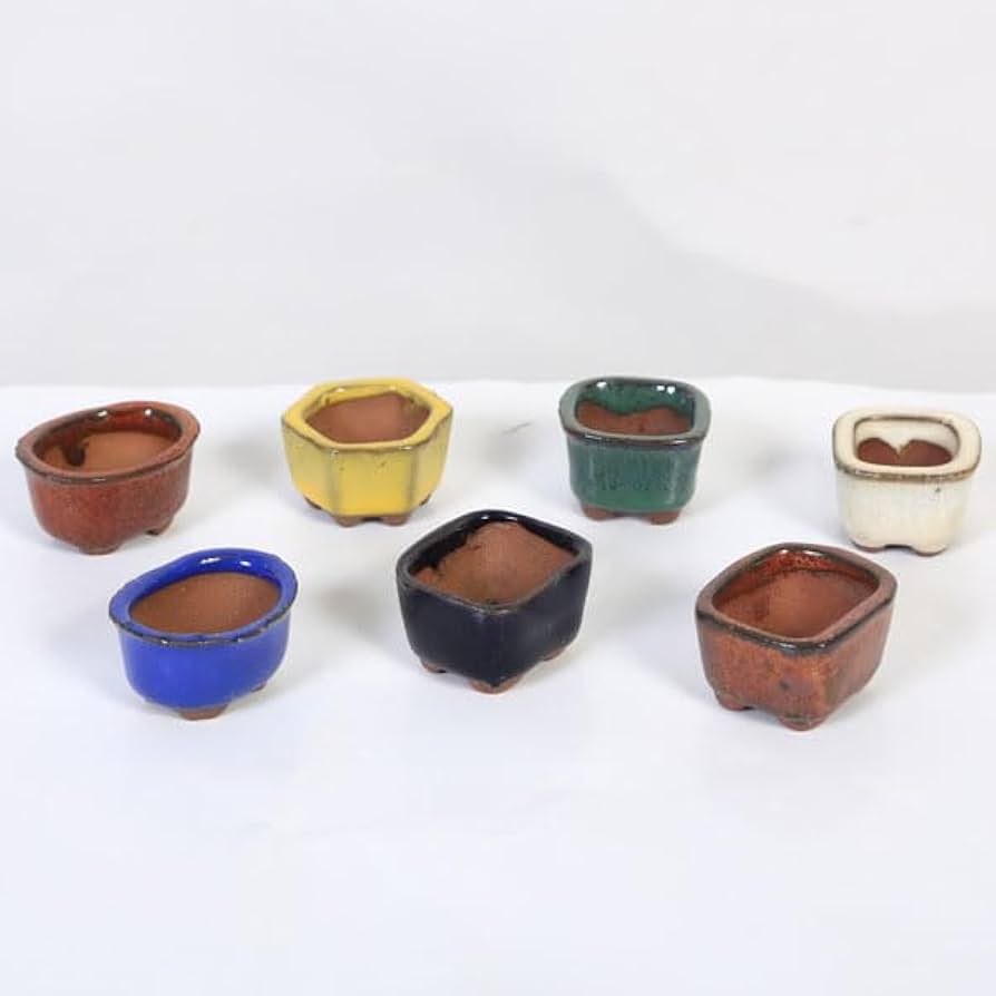 Amazon.co.jp: 鉢 中国豆鉢 7個セット*資材佐川急便 : DIY・工具